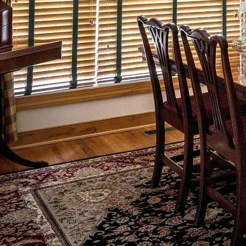 Carpet Cleaning Pinellas Country